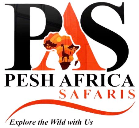 logo-image